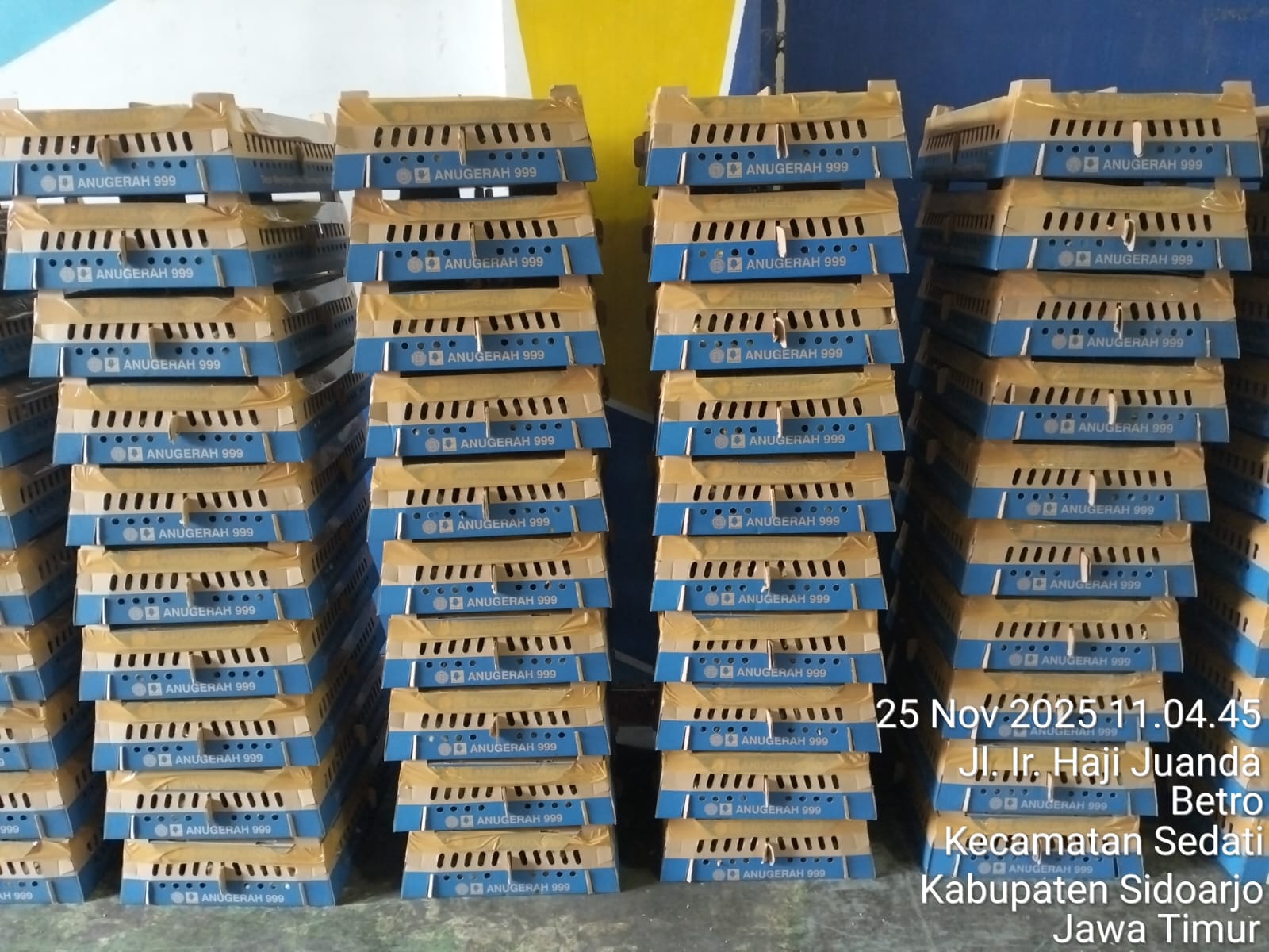 Rekap Pengiriman DOC KUB 2 Janaka dan DOC Jantan Arab PPG Bulan November 2025