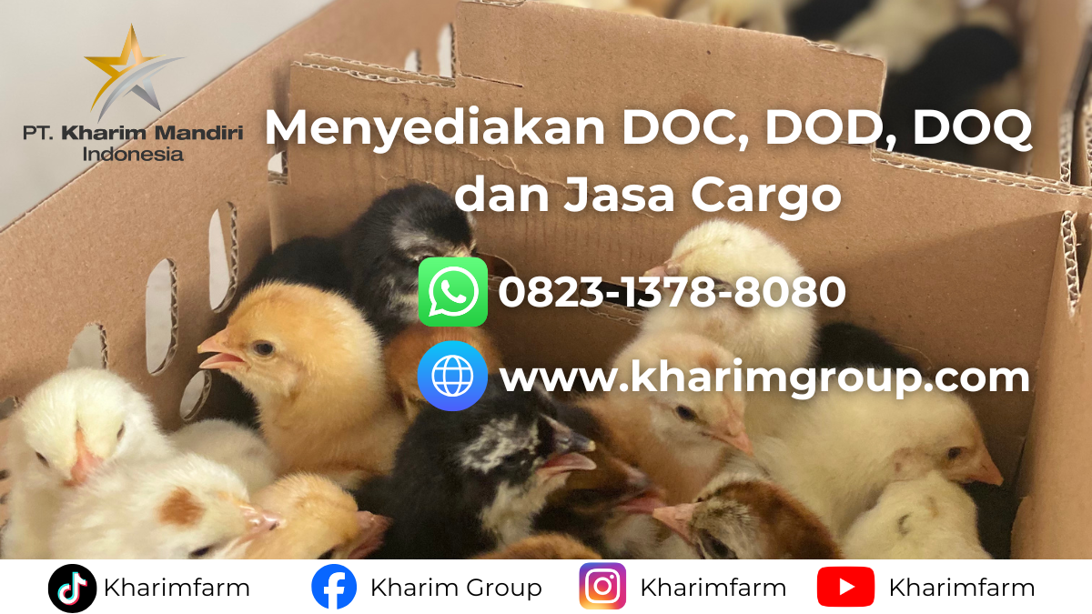 Cara Order DOC, DOD dan DOQ di PT. Kharim Mandiri Indonesia