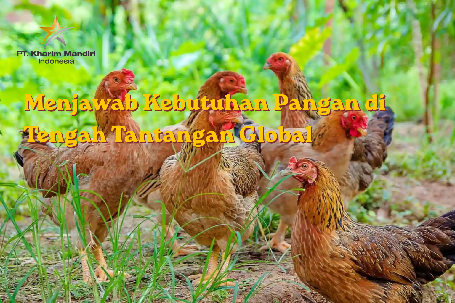 Peluang Usaha Ternak Ayam Kampung di Tahun 2026