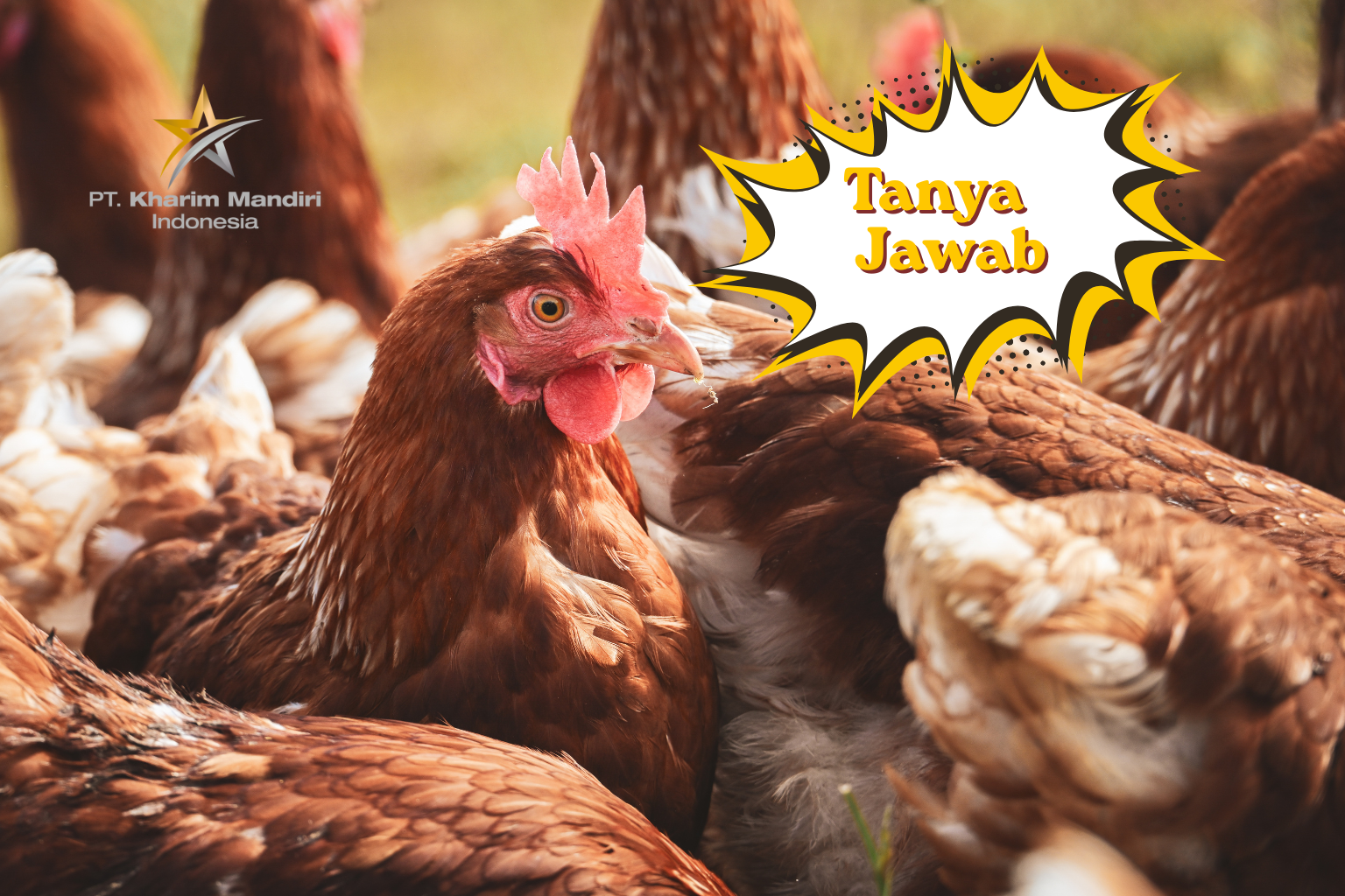 Pertanyaan Umum Seputar DOC KUB 2 Janaka & Narayana